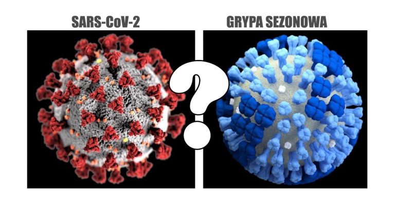 COVID-19 a grypa: sporo podobieństw, kilka istotnych różnic