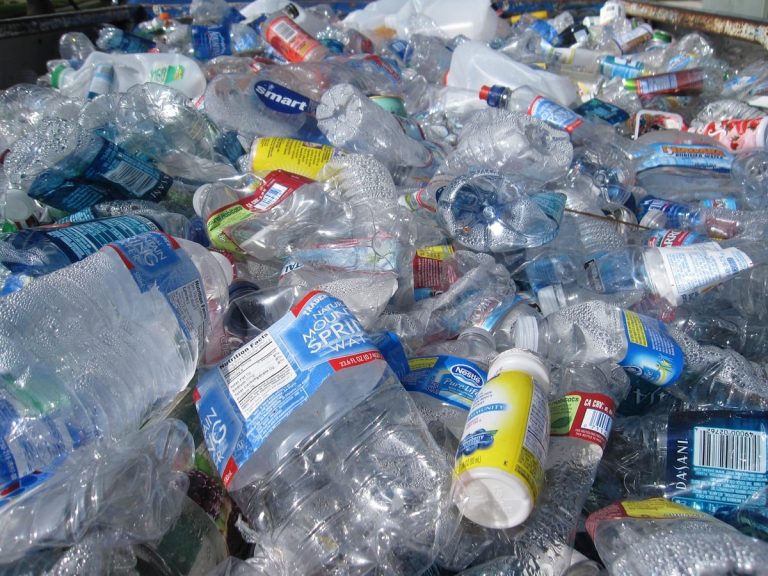 Dlaczego i czym zastąpić plastikowe opakowania