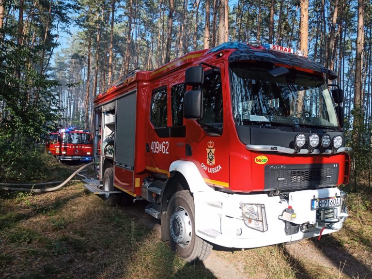 Strażacy opanowali pożar lasu w gminie Lubsza