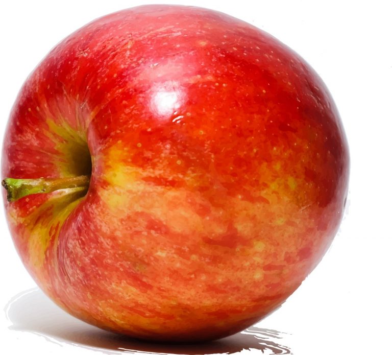 28 września – Światowy Dzień Wścieklizny i Światowy Dzień Jabłka