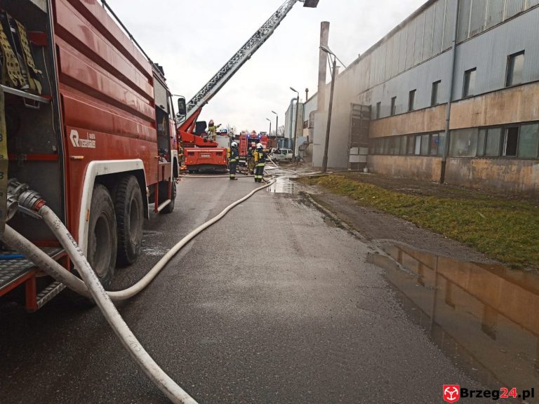 Pożar hali magazynowej w Brzegu