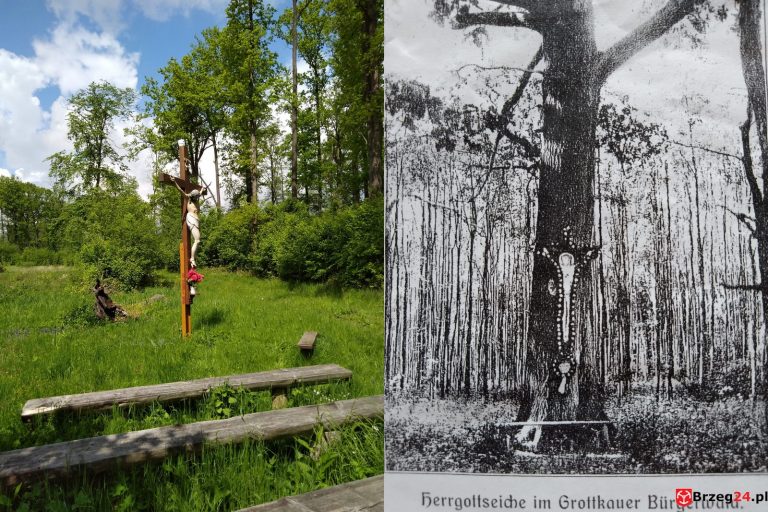 Tajemniczy krzyż w lesie Grodkowskim