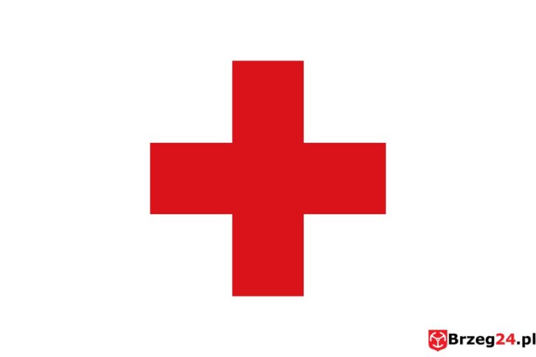 8. maja – Dziś obchodzimy Światowy Dzień Czerwonego Krzyża i Czerwonego Półksiężyca, Światowy Dzień Walki z Rakiem Jajnika i Dzień Zwycięstwa